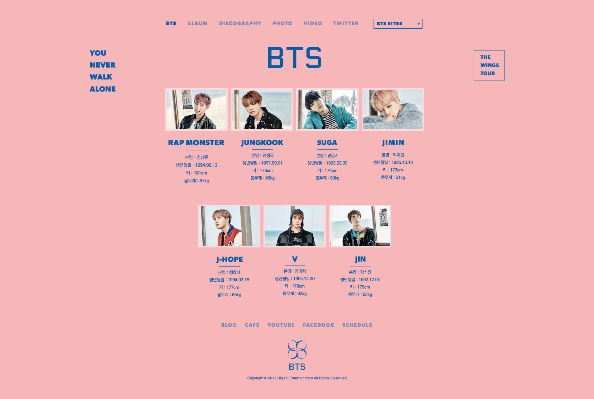 방탄소년단 - YOU NEVER WALK ALONE 사진 8