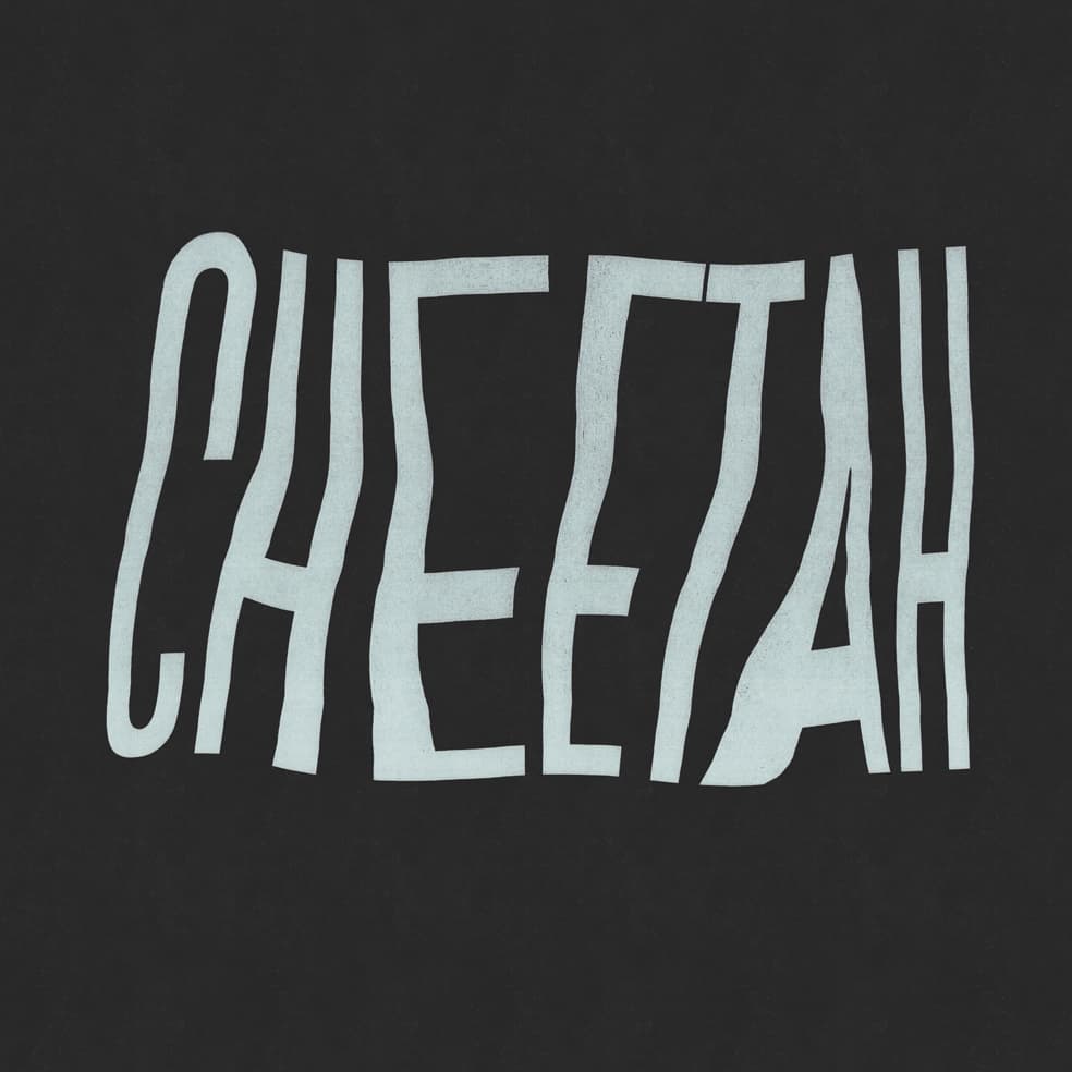 CHEETAH - Cheetah Itself 사진 5