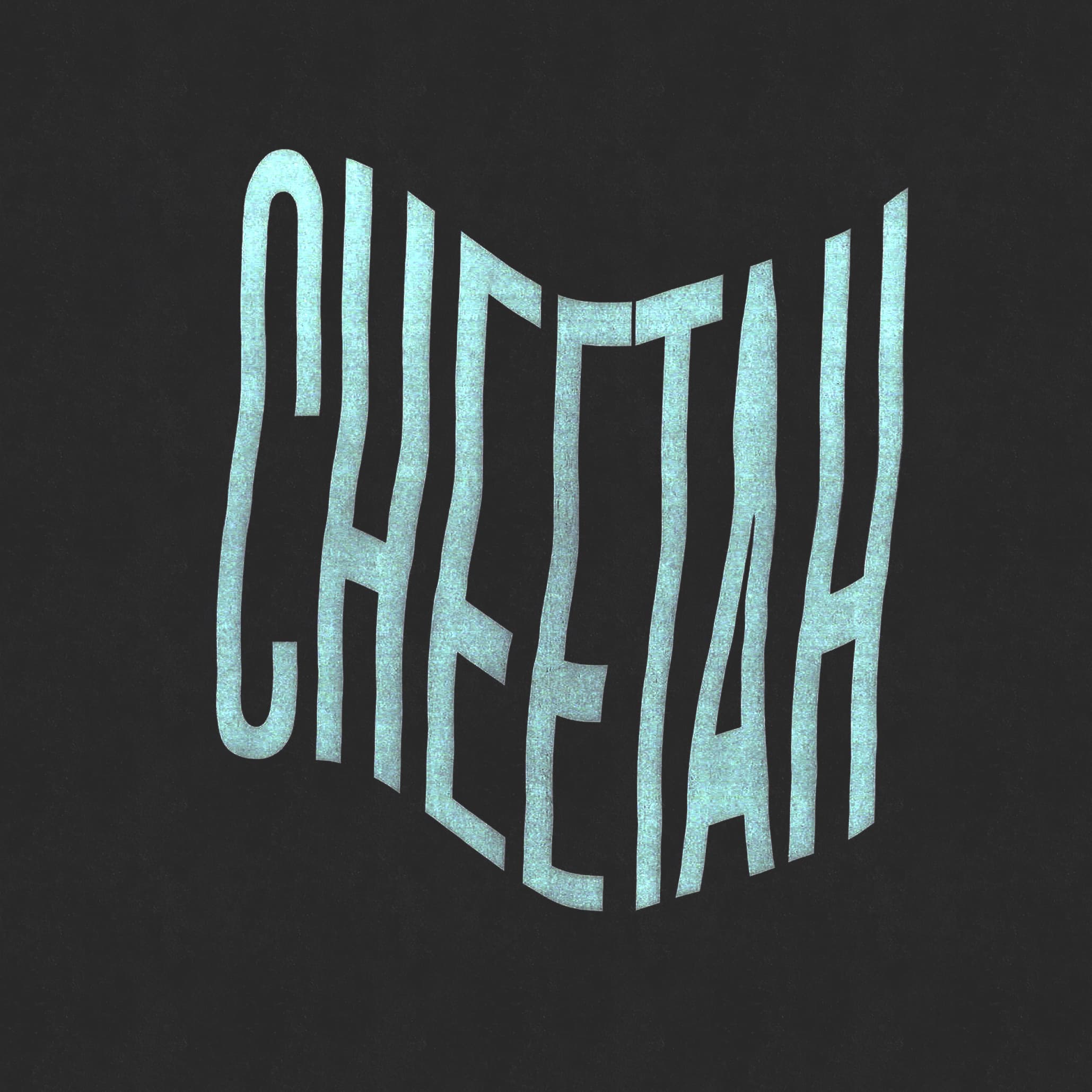 CHEETAH - Cheetah Itself 사진 6